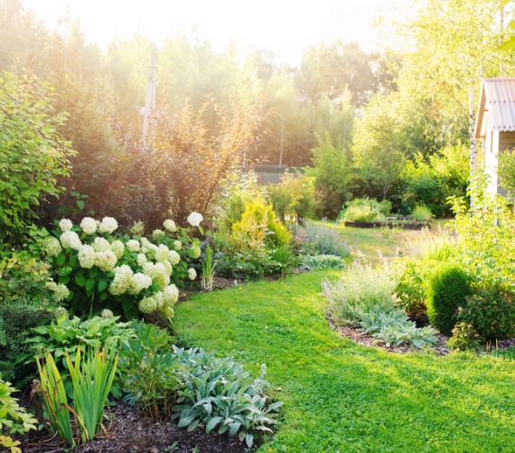 Afbeelding_Tuinonderhoud_2 hovenier almere